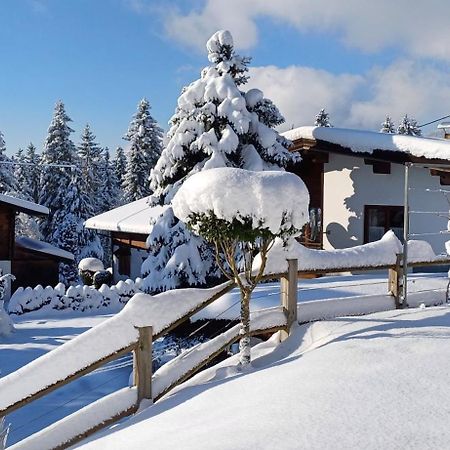 Ferienwohnung Sappl Scheffau am Wilden Kaiser Dış mekan fotoğraf