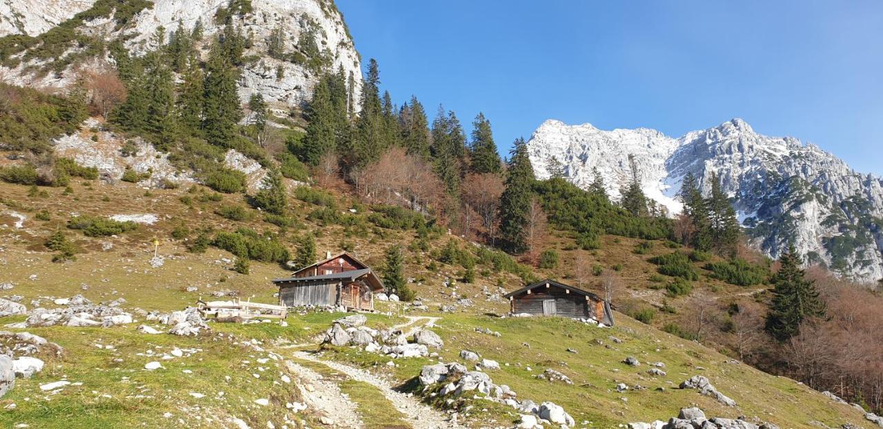 Ferienwohnung Sappl Scheffau am Wilden Kaiser Dış mekan fotoğraf