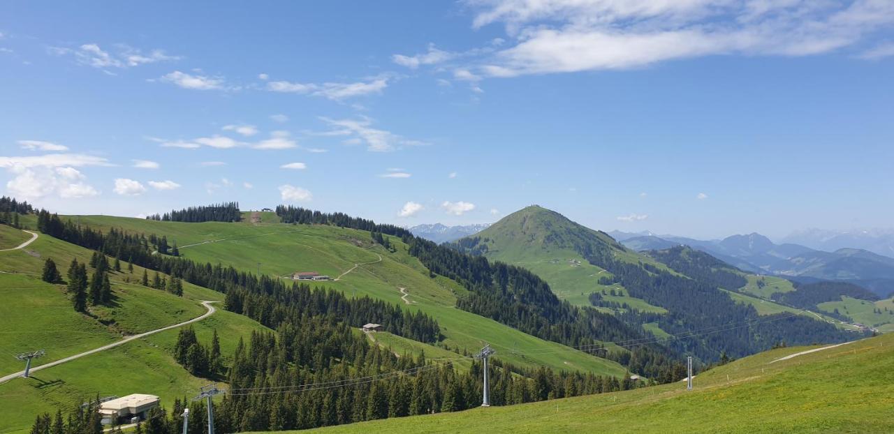 Ferienwohnung Sappl Scheffau am Wilden Kaiser Dış mekan fotoğraf