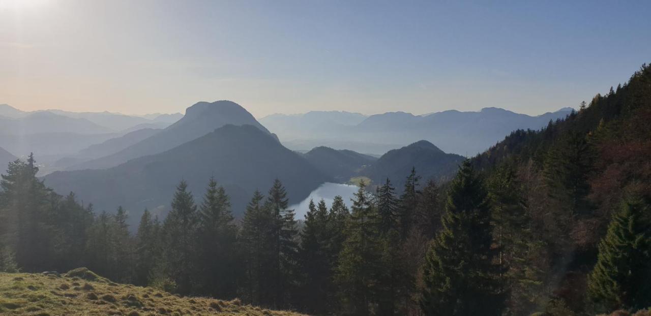 Ferienwohnung Sappl Scheffau am Wilden Kaiser Dış mekan fotoğraf