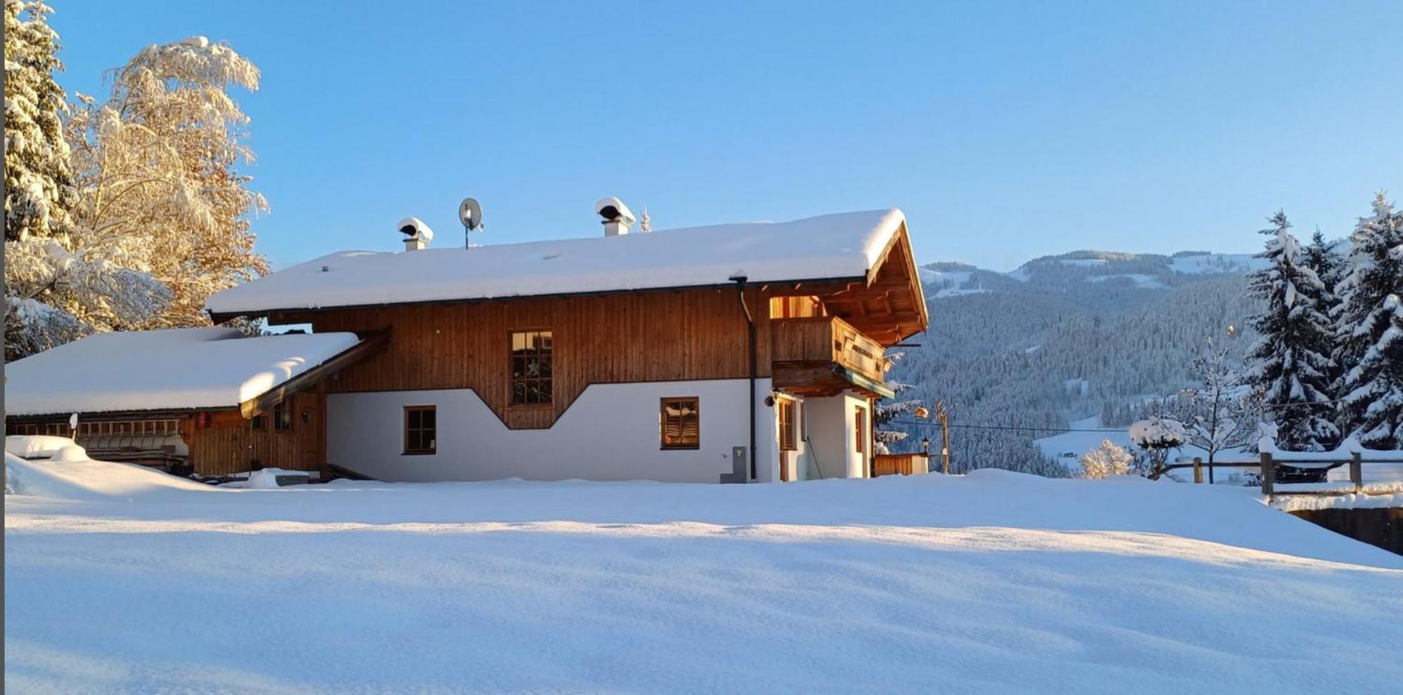 Ferienwohnung Sappl Scheffau am Wilden Kaiser Dış mekan fotoğraf