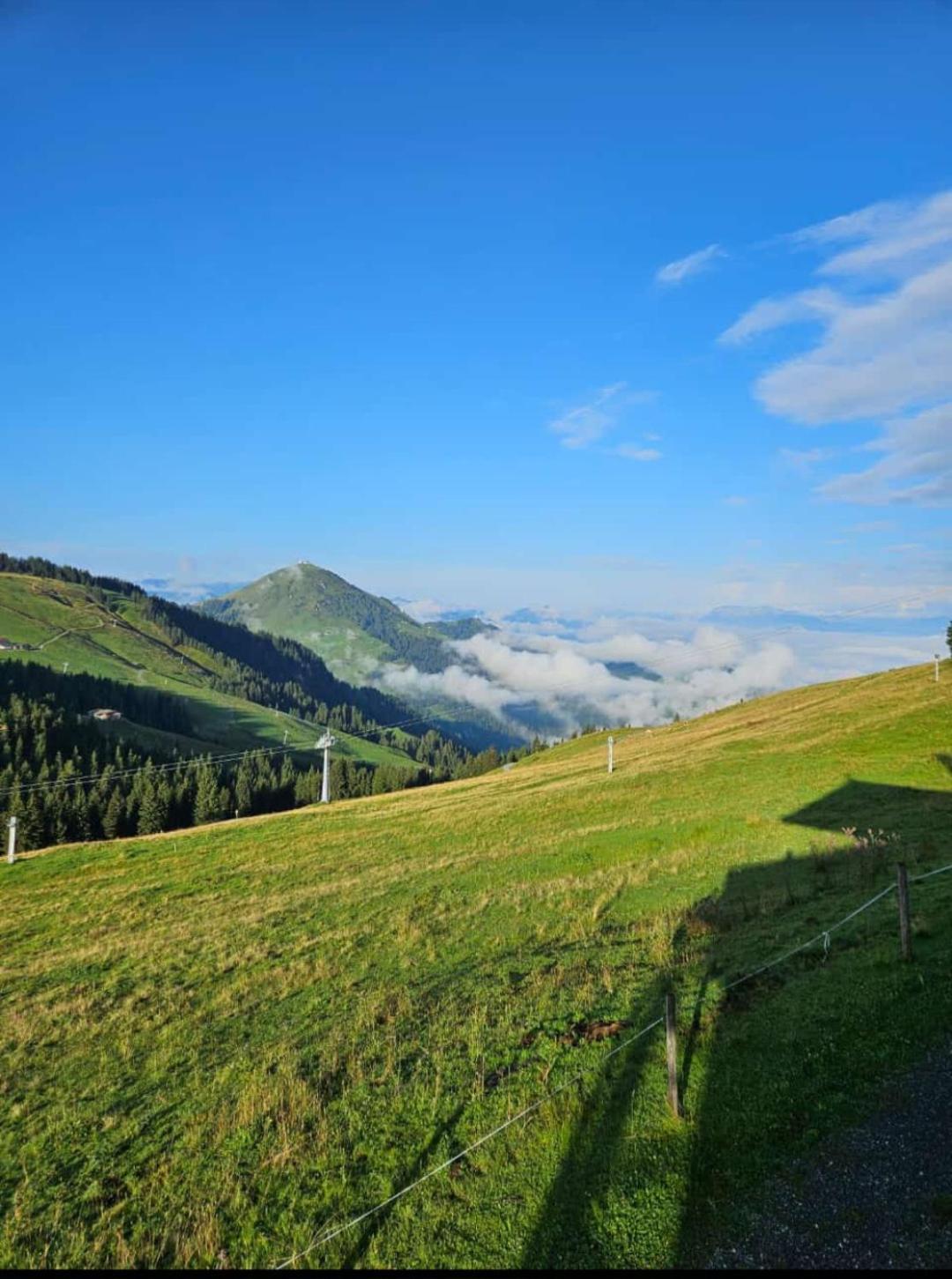 Ferienwohnung Sappl Scheffau am Wilden Kaiser Dış mekan fotoğraf