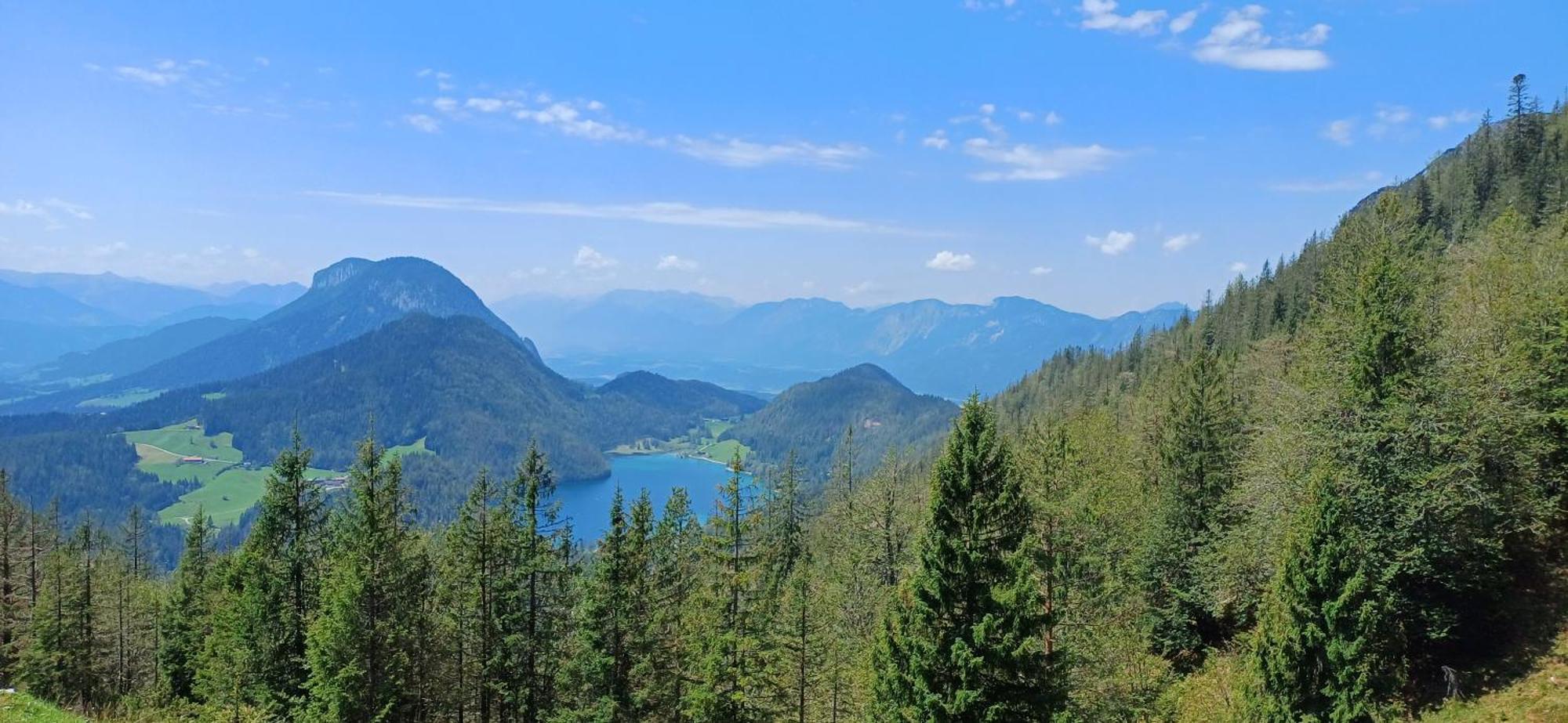Ferienwohnung Sappl Scheffau am Wilden Kaiser Dış mekan fotoğraf